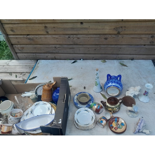 49 - Decorative china and ornaments : Indian blue and white pot, mobile phone, Torquay ware tea pot etc.