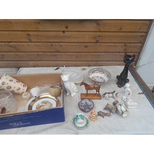 57 - Box of decorative china cats etc,