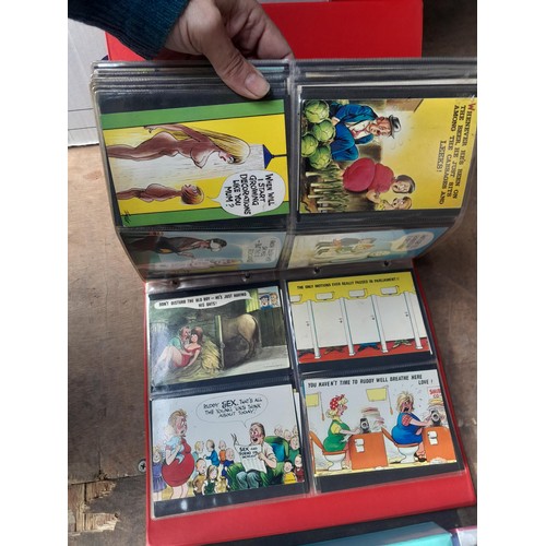 82 - Postcards : Vintage and modern End of Pier comedy cards in albums