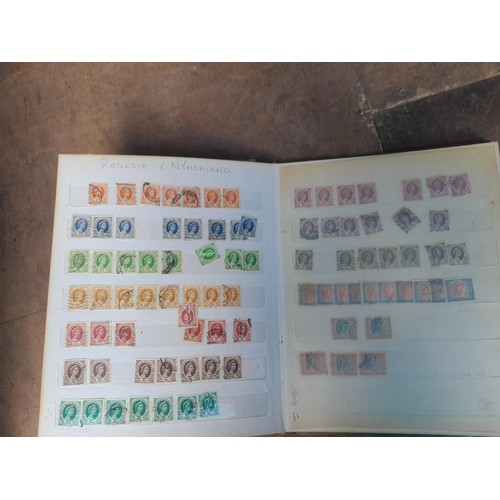 90 - Stamps of Africa used and mint in stockbooks, with empty stockbooks