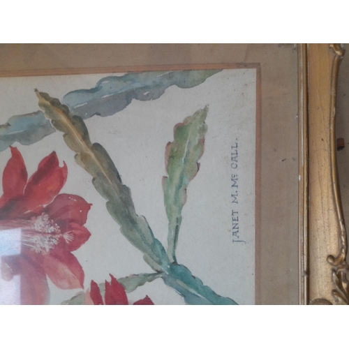 139 - Early 20th century Botanical watercolour by Janet M McCall, with Royal Institute Exhibition label on... 