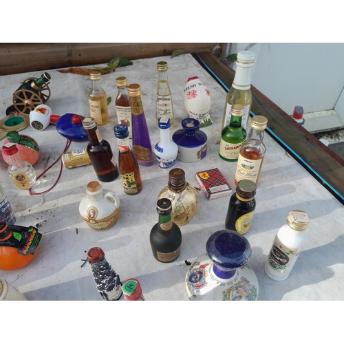 192 - Assorted miniatures : some interesting  brands but suffering with ullage