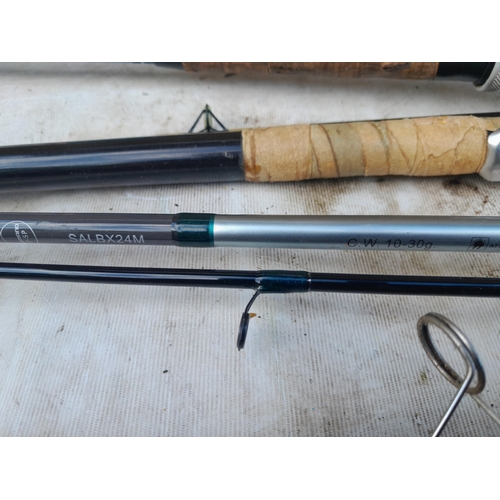 210 - Fishing rods : Hardy, ABU, Fuji, Shimano and others