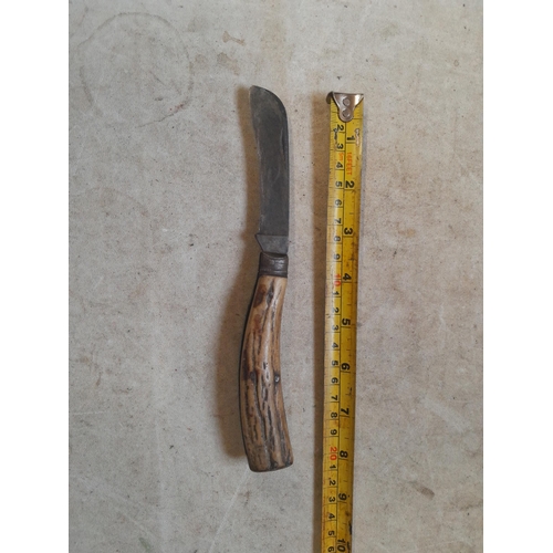 257 - Early 20th century antler folding pruning penknife : The Encore