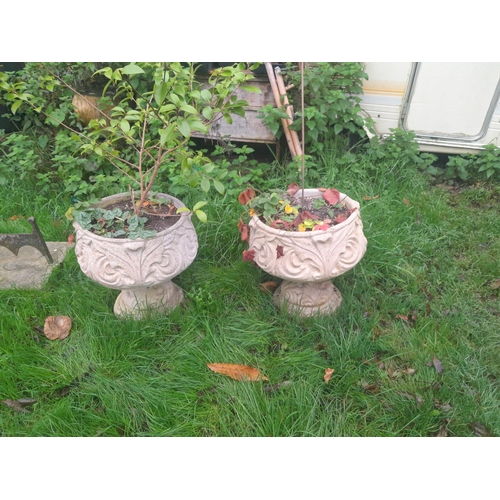 34 - Pair of composite stone planters with contents