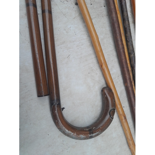 73 - Various walking sticks