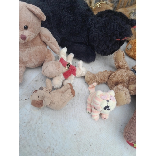 91 - Assorted cuddly toys