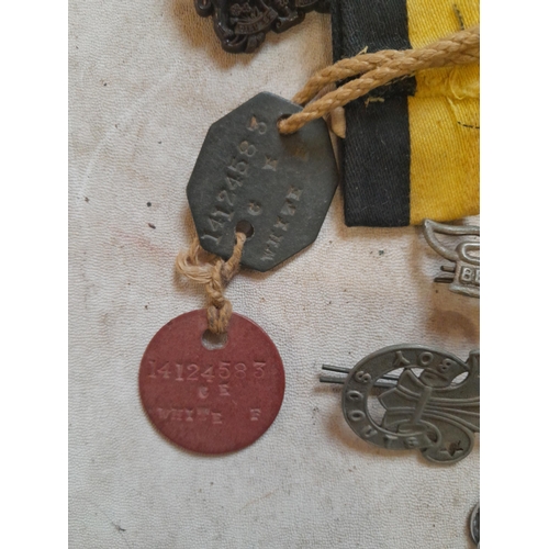 105 - Vintage scout and other memorabilia, dog tags, lapel and other badges, some military & police intere... 