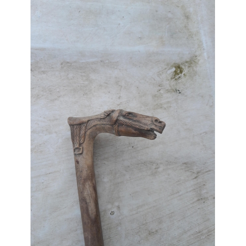 118 - Carved horse head walking stick