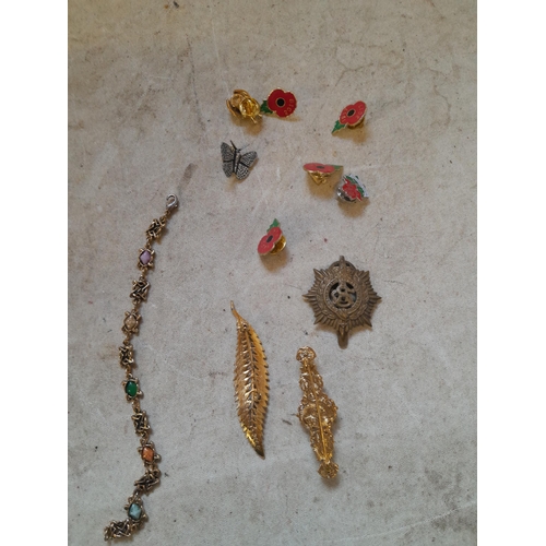 161 - Costume jewellery , pin badges etc.