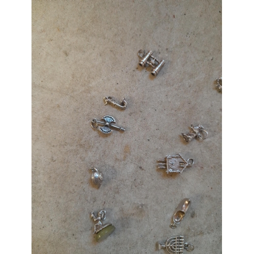 381 - Assorted silver charms