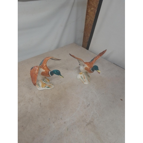 423 - Pair of Beswick flying Mallards, one with restored wing