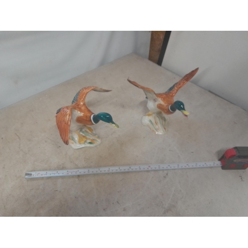 423 - Pair of Beswick flying Mallards, one with restored wing