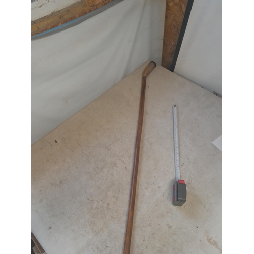 465 - Horn handle cane inset with coin