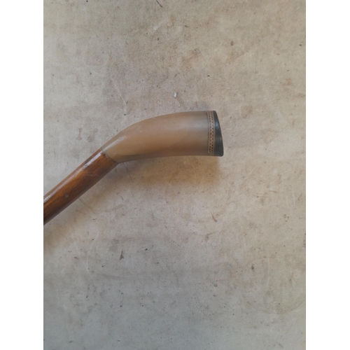 465 - Horn handle cane inset with coin