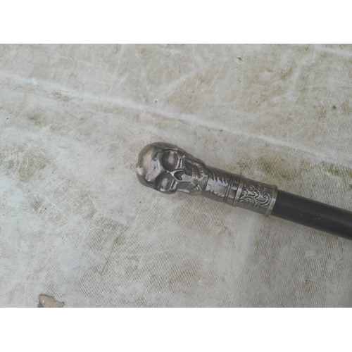 781 - Skull top walking stick