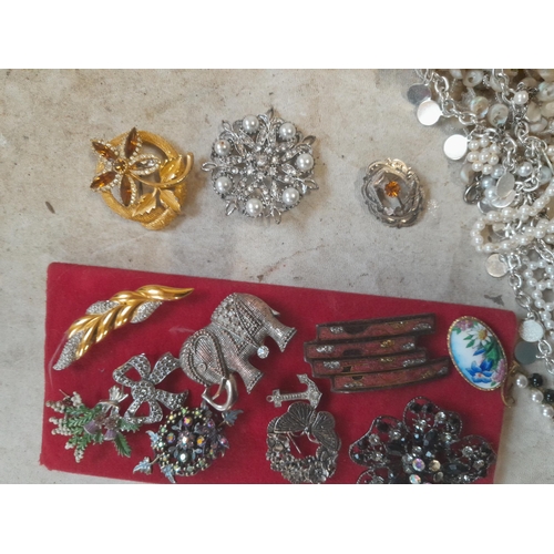 785 - Costume jewellery , brooches mounted on card, Scottish silver thistle brooch and other jewellery