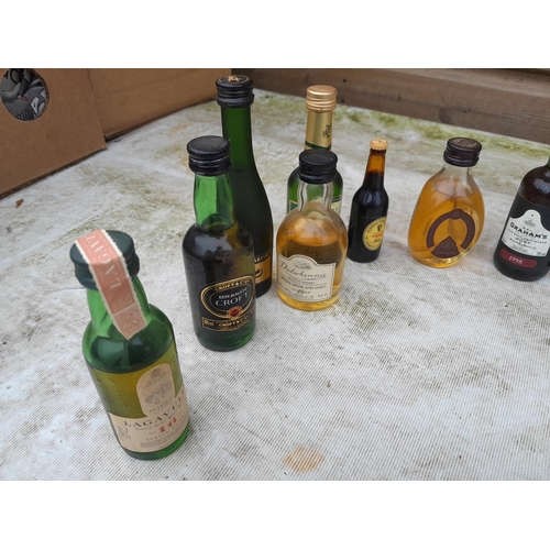 104 - Various miniatures, note some ullage, Single Malt whisky included