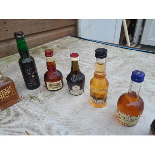 104 - Various miniatures, note some ullage, Single Malt whisky included