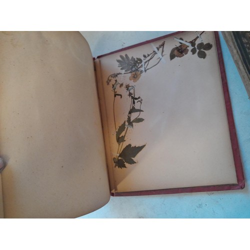 6 - Early 20th century pressed flower and plant album, partially filled with UK species, and a scrap boo... 