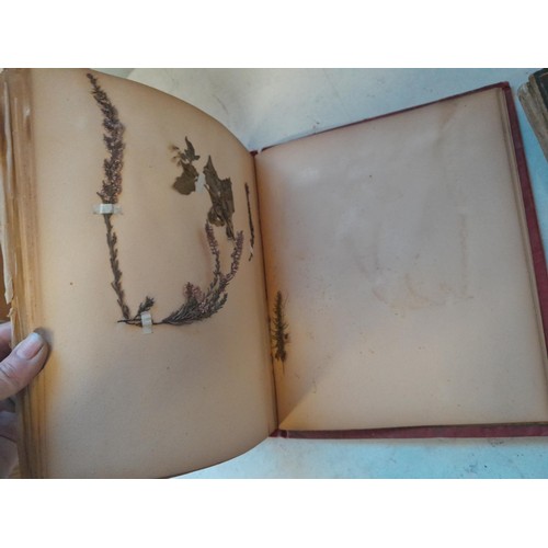 6 - Early 20th century pressed flower and plant album, partially filled with UK species, and a scrap boo... 