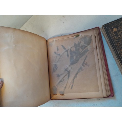 6 - Early 20th century pressed flower and plant album, partially filled with UK species, and a scrap boo... 