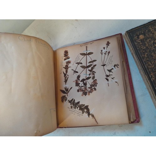 6 - Early 20th century pressed flower and plant album, partially filled with UK species, and a scrap boo... 