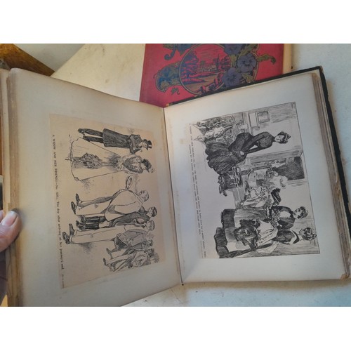 6 - Early 20th century pressed flower and plant album, partially filled with UK species, and a scrap boo... 