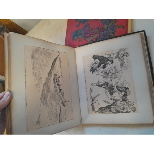 6 - Early 20th century pressed flower and plant album, partially filled with UK species, and a scrap boo... 