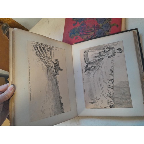 6 - Early 20th century pressed flower and plant album, partially filled with UK species, and a scrap boo... 