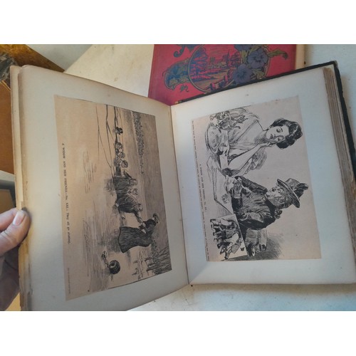 6 - Early 20th century pressed flower and plant album, partially filled with UK species, and a scrap boo... 