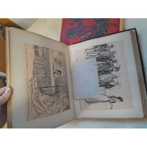 6 - Early 20th century pressed flower and plant album, partially filled with UK species, and a scrap boo... 