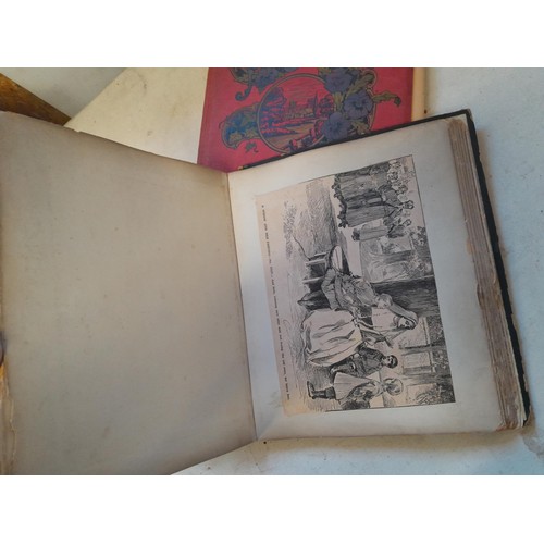 6 - Early 20th century pressed flower and plant album, partially filled with UK species, and a scrap boo... 