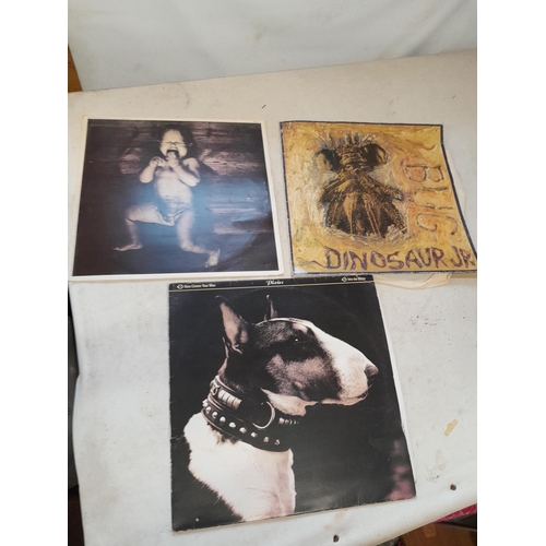 254 - 3 x vinyl records : LP Dinosaur Jnr. Bug in tatty sleeve & Pixies 2 x 12 