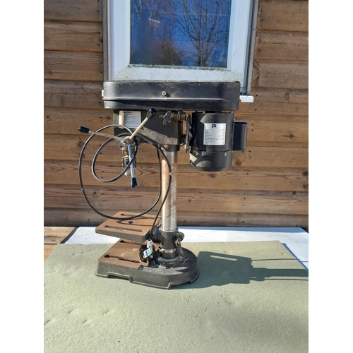 Lot 20        