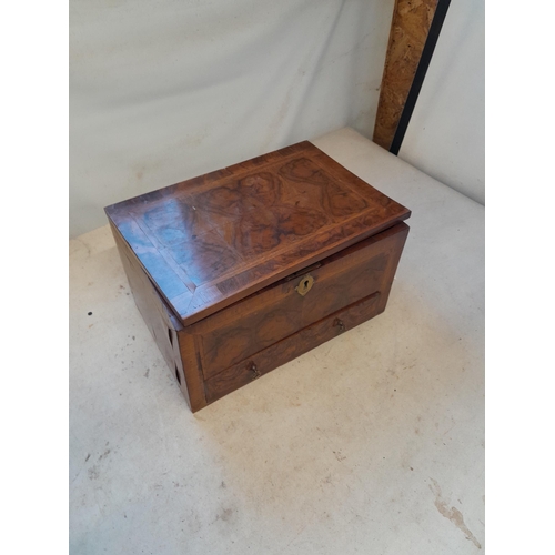 Lot 42        
