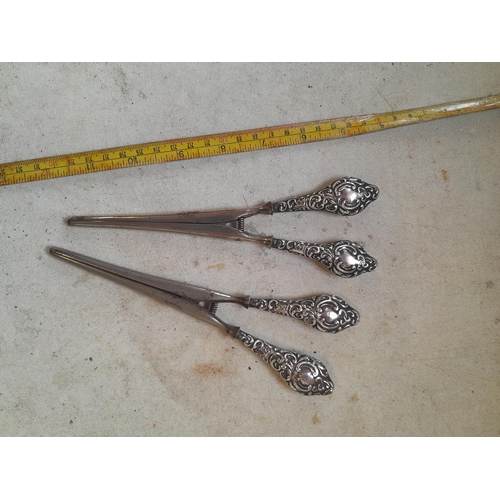 180 - 2 x pairs of silver handle glove stretchers