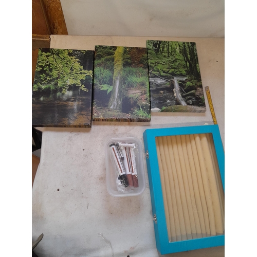 197 - Box of oddments : prints, ring display box etc.