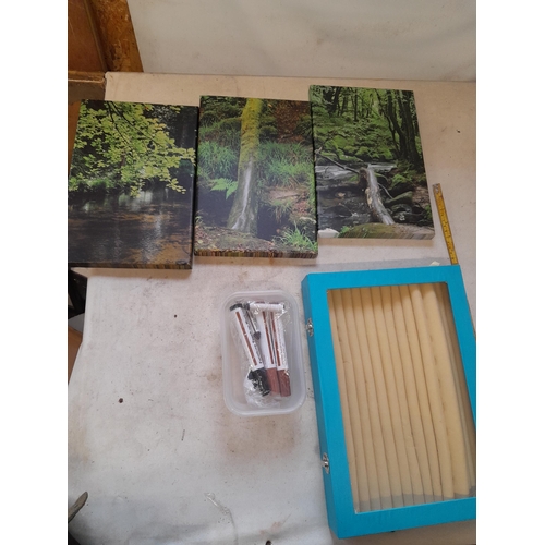 197 - Box of oddments : prints, ring display box etc.