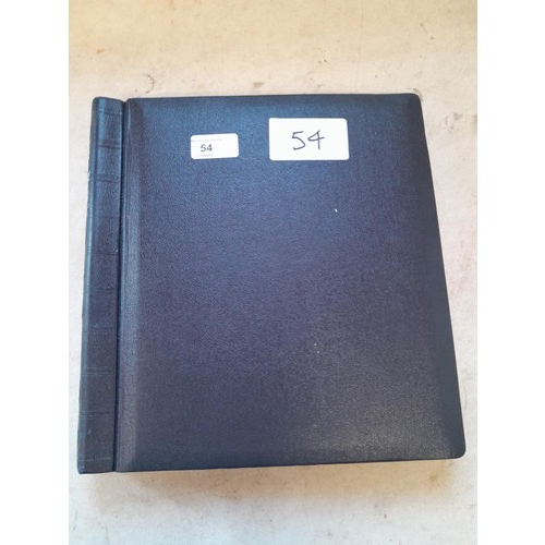 Lot 54        