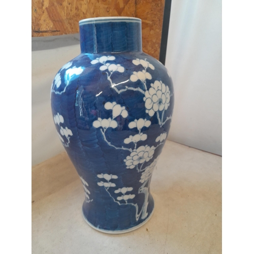 Lot 38        