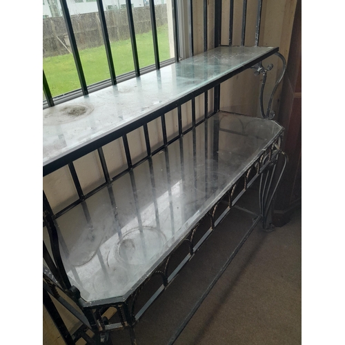 42 - Vintage French metal and glass free standing shelf unit