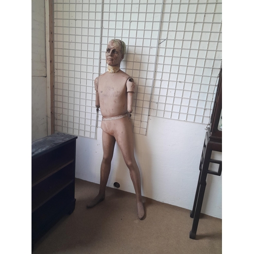 Lot 64        