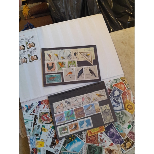 236 - Stamps : stockbook of mint, unused and a few used stamps, mainly GB, Christmas stamps in packets and... 