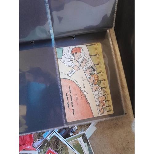241 - Postcards : empty albums, card sleeves, postcards of Lynmouth, Alcaster and environs, political figu... 