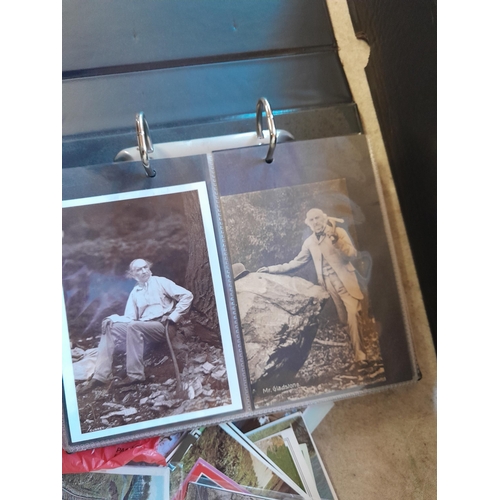 241 - Postcards : empty albums, card sleeves, postcards of Lynmouth, Alcaster and environs, political figu... 