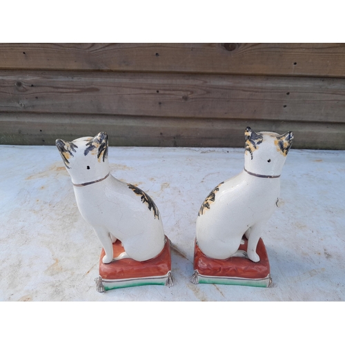 14 - Interesting pair of 19th century Staffordshire pottery cats, note dirty crazing