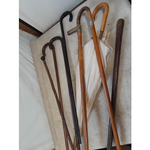 47 - Collection of mixed era walking sticks, canes and umbrellas : carved horn, silver collars