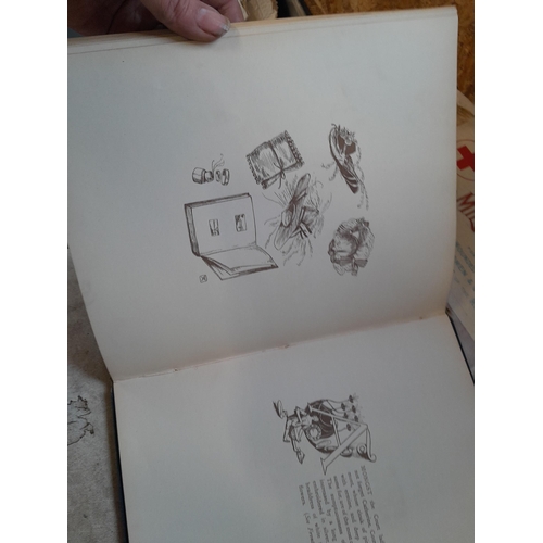 177 - Various volumes : Tatty Peter Piper's Practical Principles 1926, Queen Victoria's Dolls 1902 , 1899 ... 