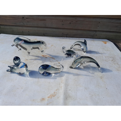Lot 26        